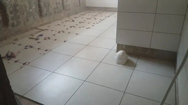 Avance del piso junto a la pared demolida